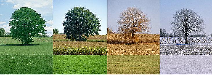 3DM速报： Steam Deck登周销 数据挖掘疑泄露《赛博朋克2077》DLC